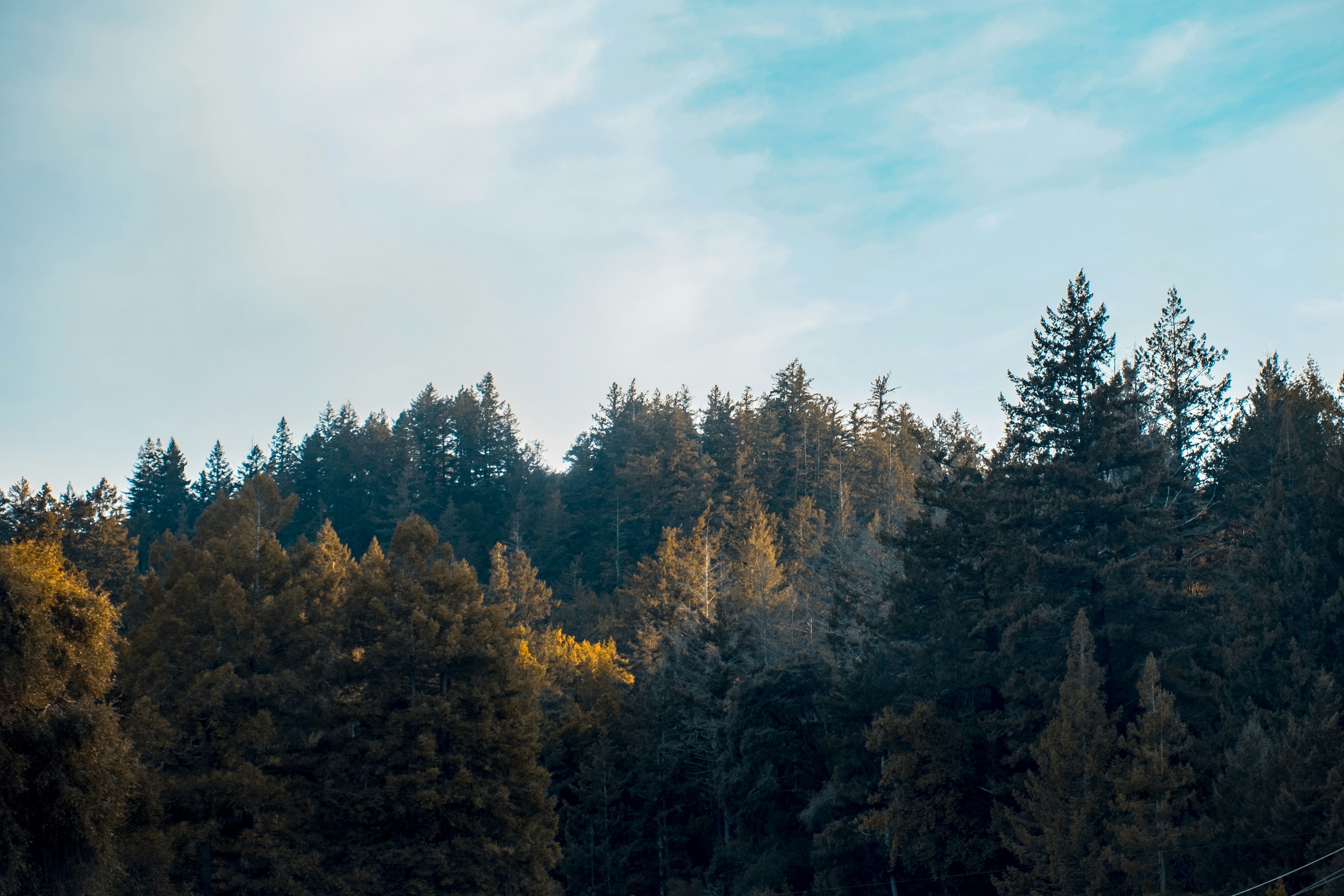 Photo by mo_design_3d