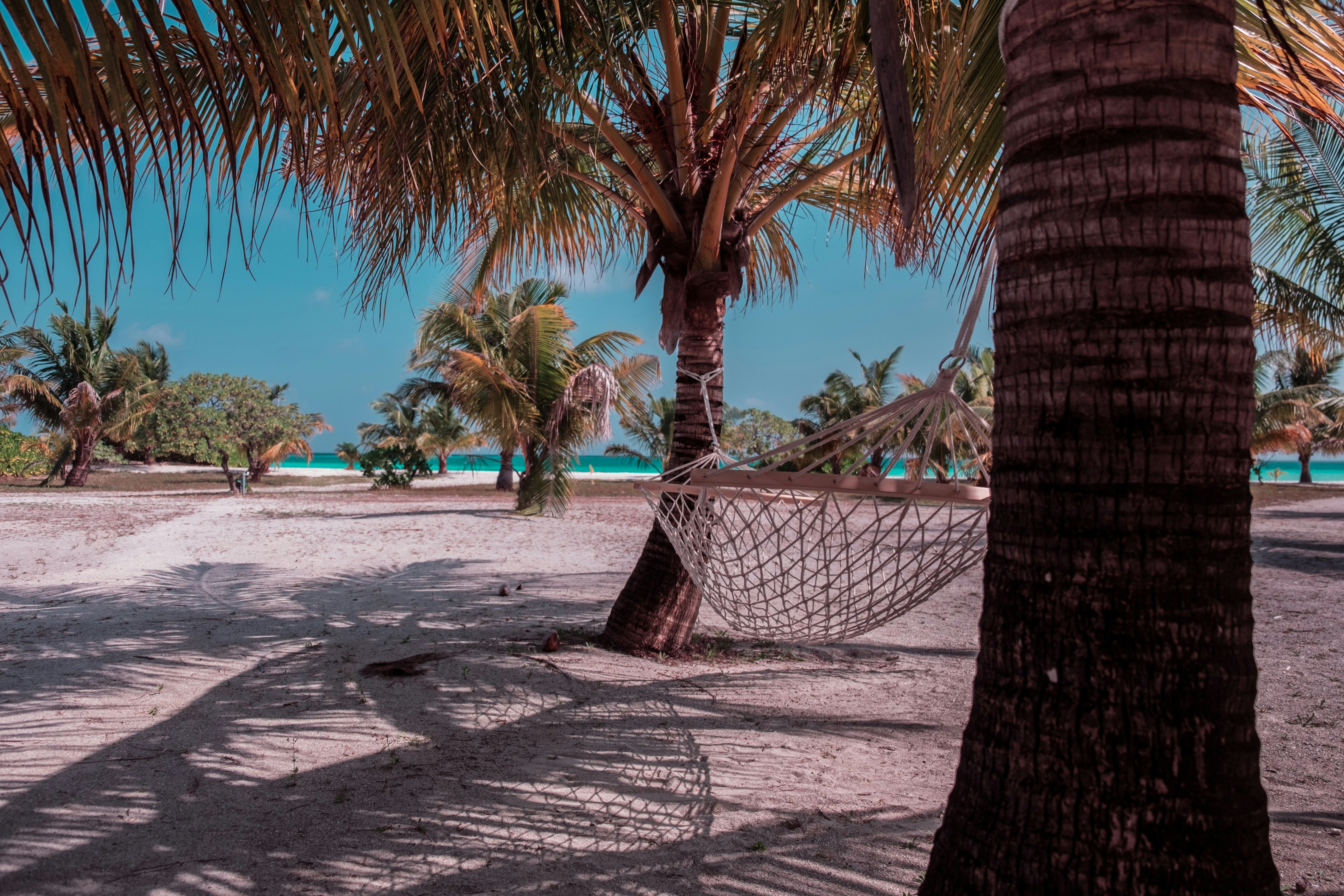 Photo by mo_design_3d