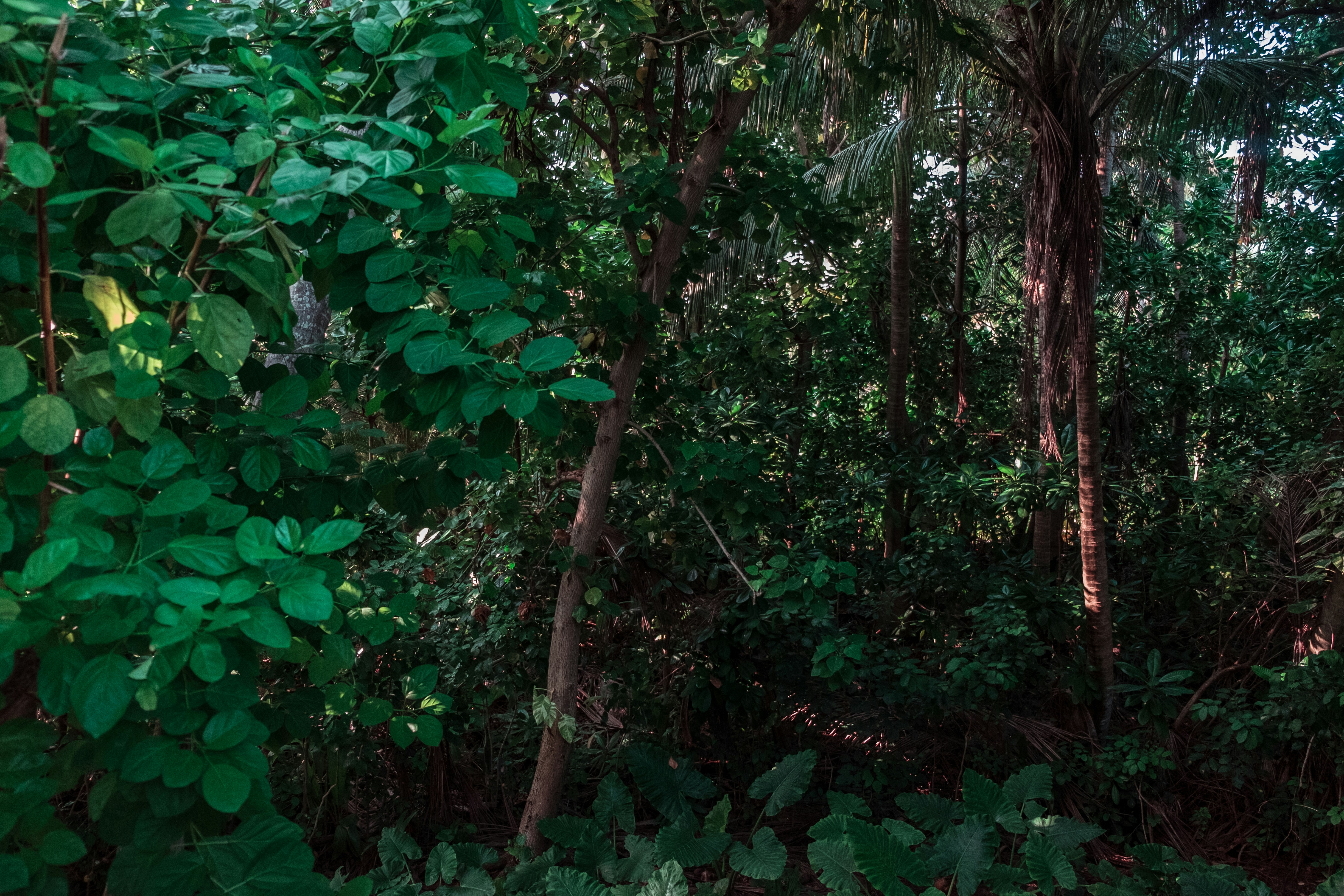 Photo by mo_design_3d