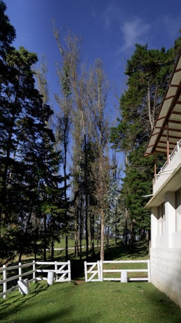 A serene outdoor setting with a security guard observing.