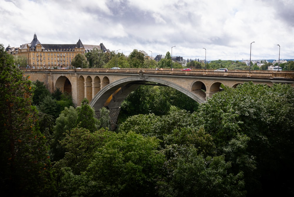 a bridge over a lush green forest under a cloudy sky