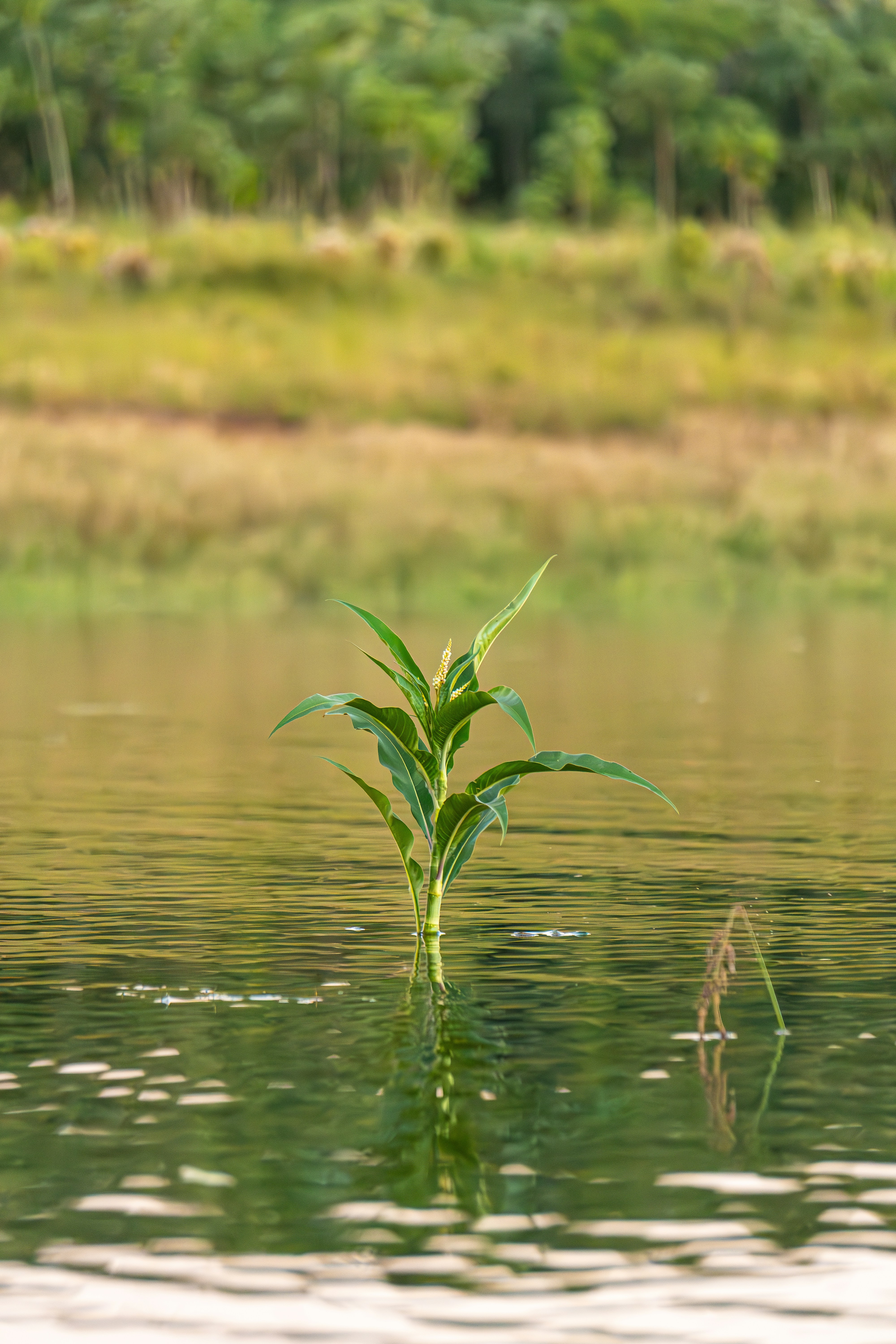 Photo by whereiskylenow