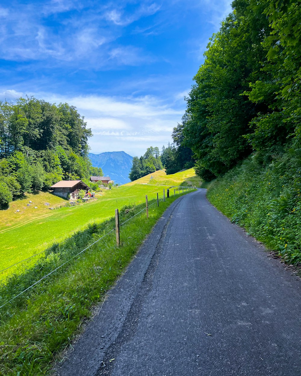 a road in the middle of a lush green field