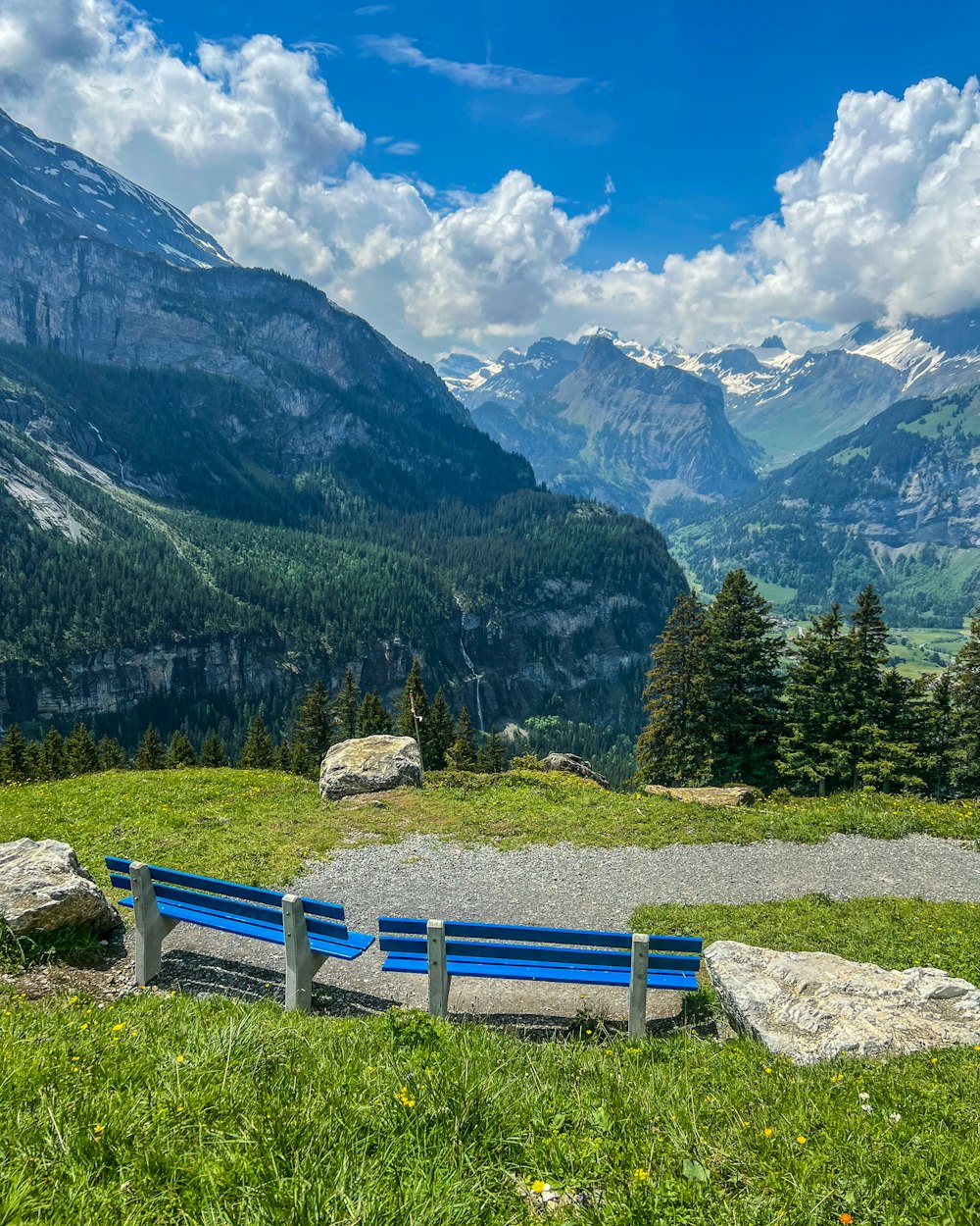 a blue bench sitting on top of a lush green hillside