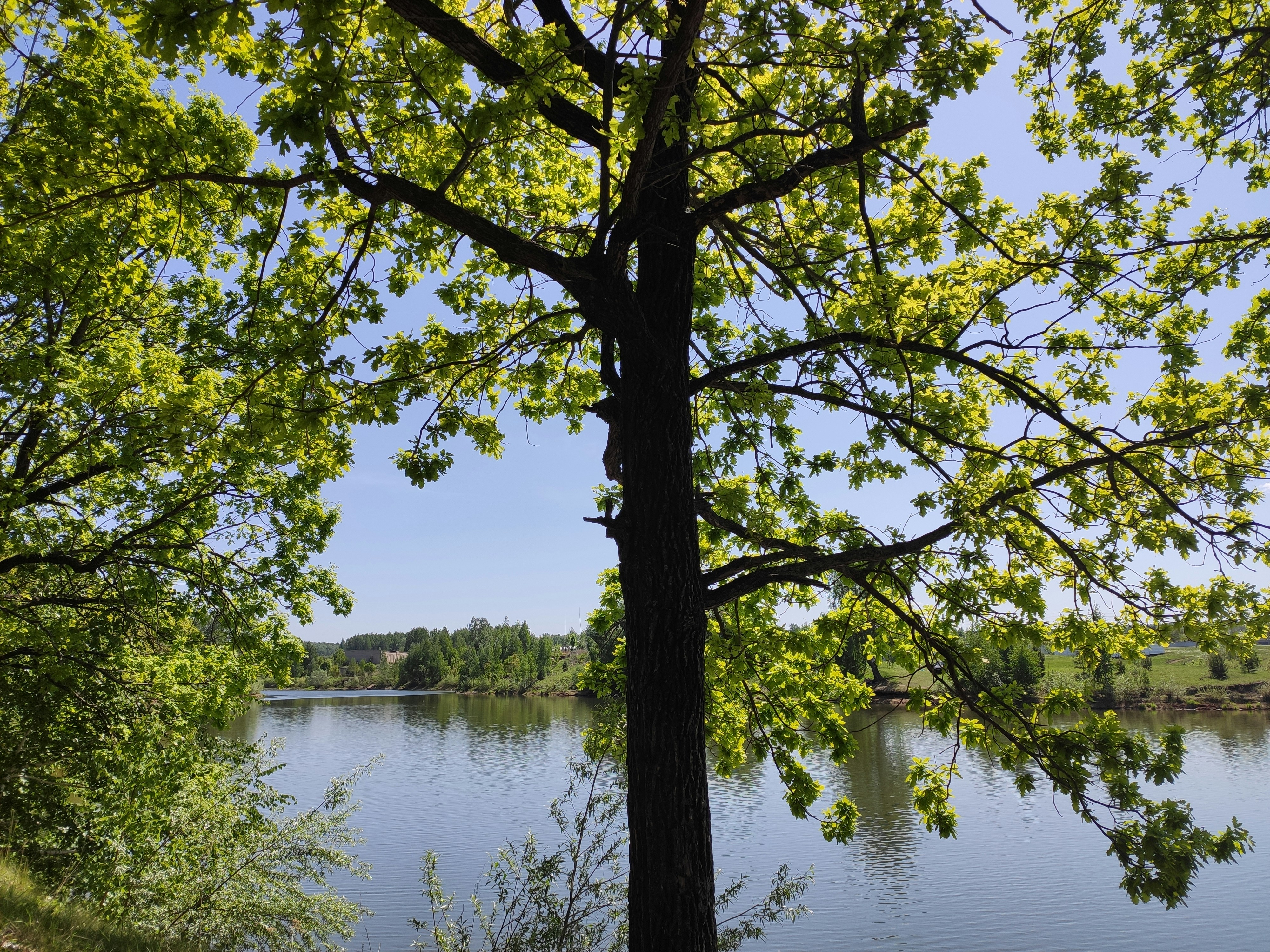 Photo by crown_vic07