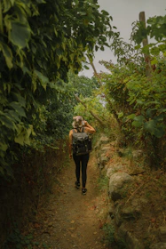 A traveler walking along the ancient Camino de Santiago trail surrounded by lush greenery.