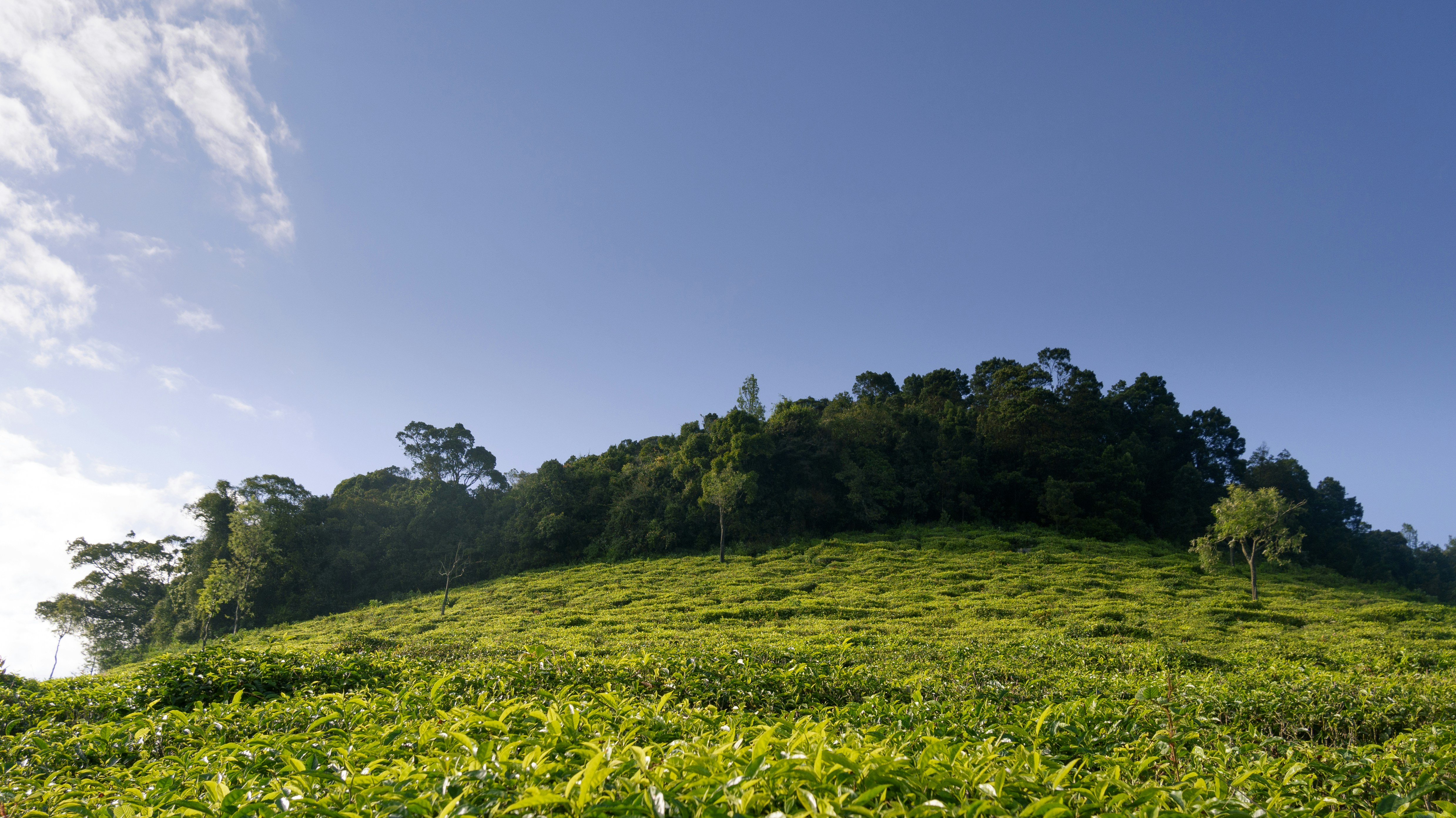 Photo by jaya14shukla