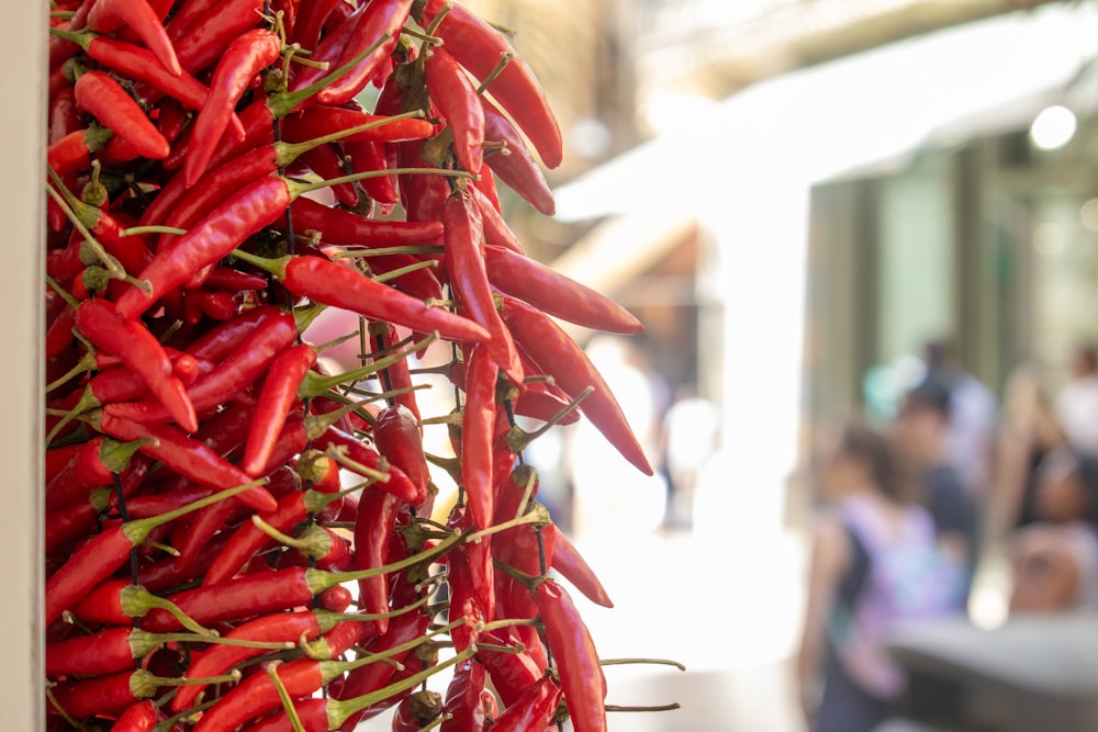 a bunch of red peppers hanging from a wall