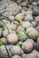 A collection of spherical stones scattered among green grass sprigs. The rocks appear to be uniform in texture and color, creating a natural and earthy arrangement. A few vibrant leaves and blades of grass provide contrast against the muted tones of the stones.