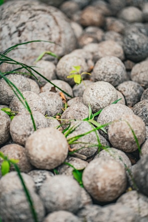 A collection of spherical stones scattered among green grass sprigs. The rocks appear to be uniform in texture and color, creating a natural and earthy arrangement. A few vibrant leaves and blades of grass provide contrast against the muted tones of the stones.