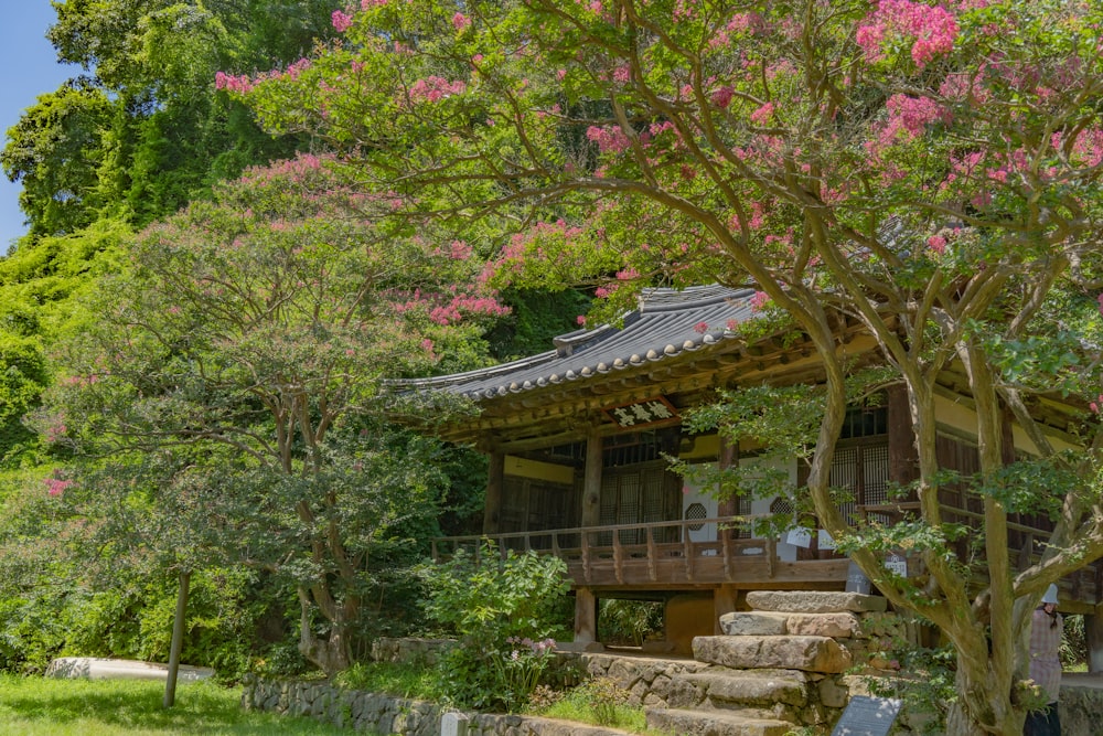 a building with a tree in front of it