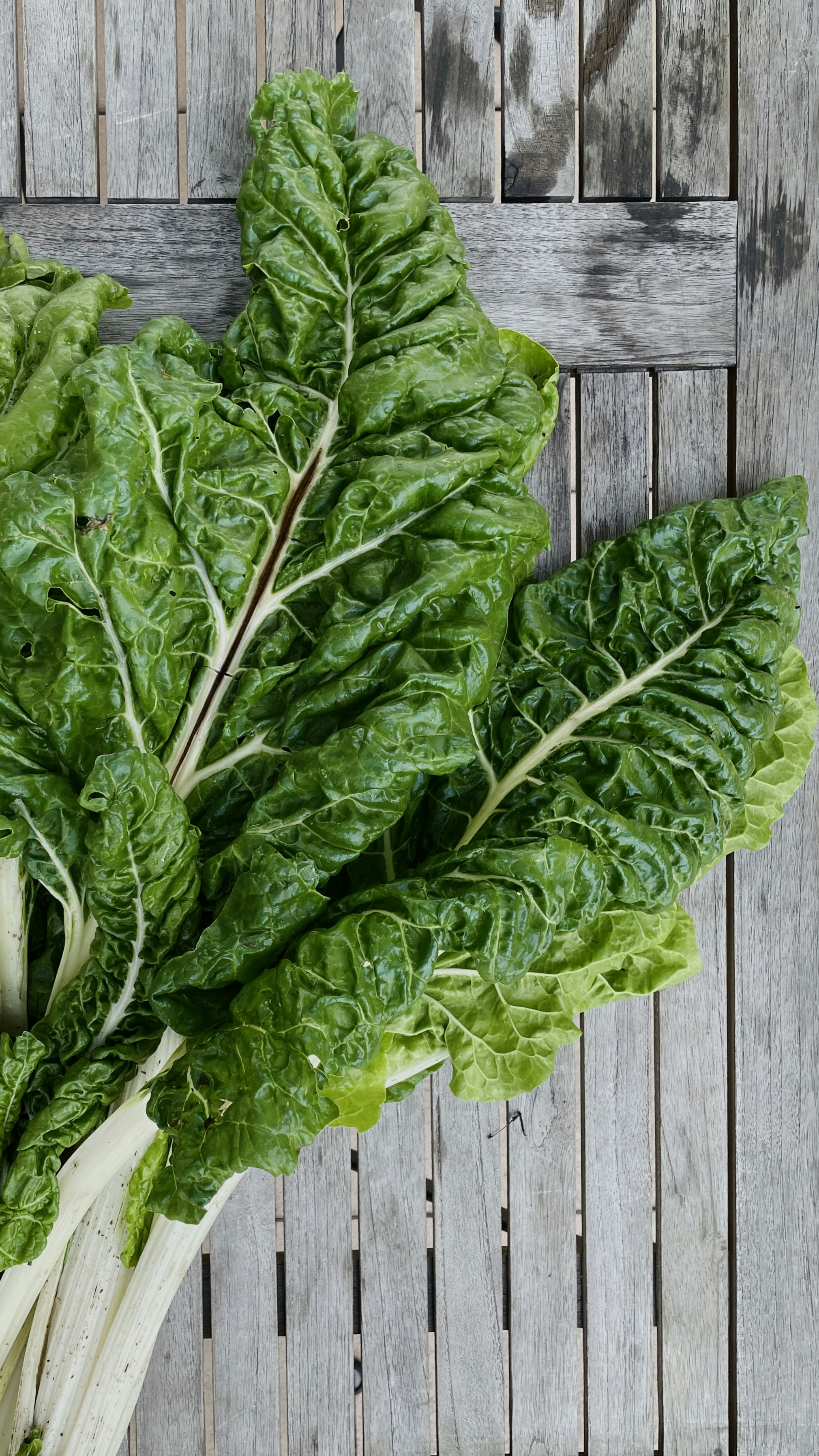 Photo by filipp_roman_photography