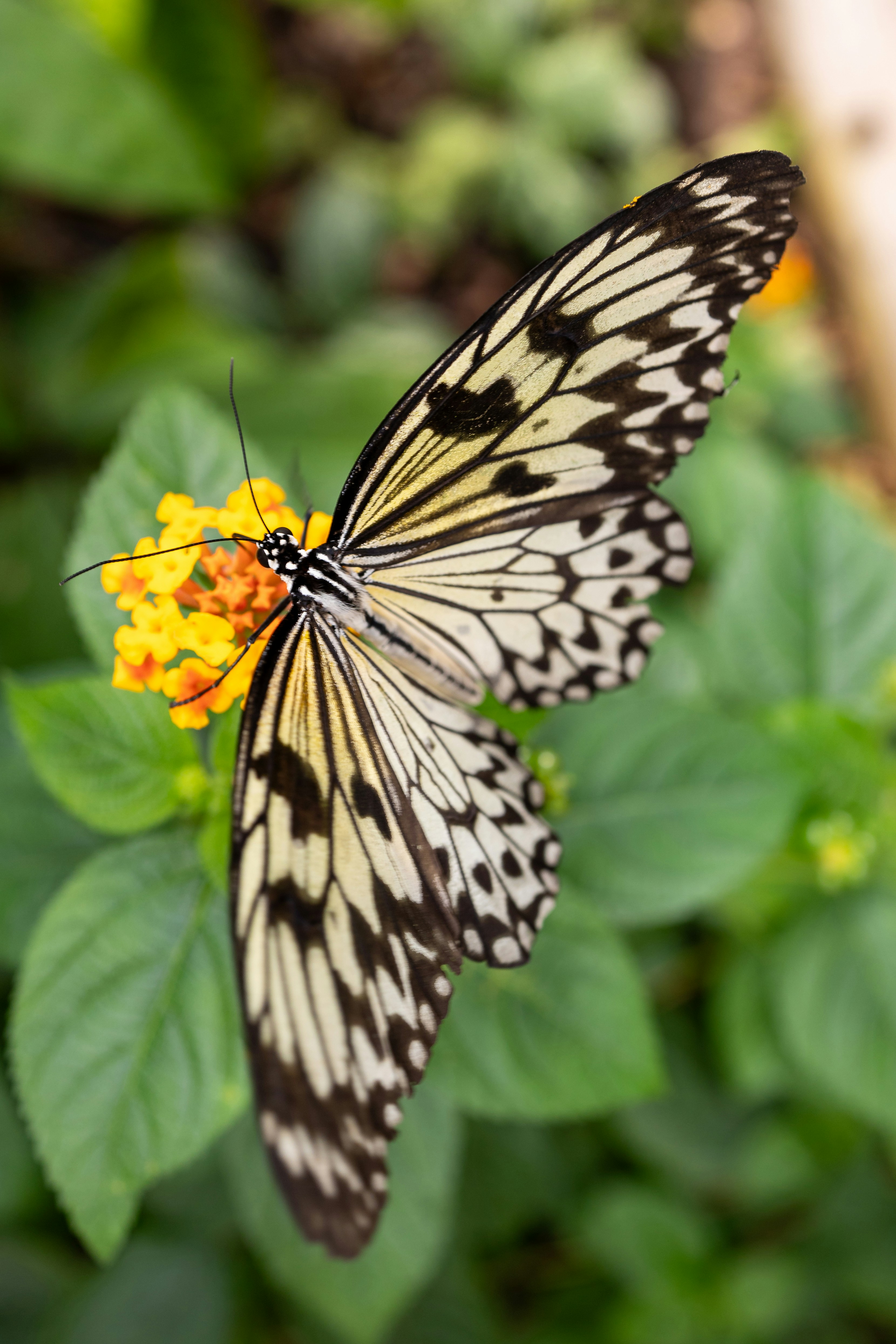 Photo by marvinradke