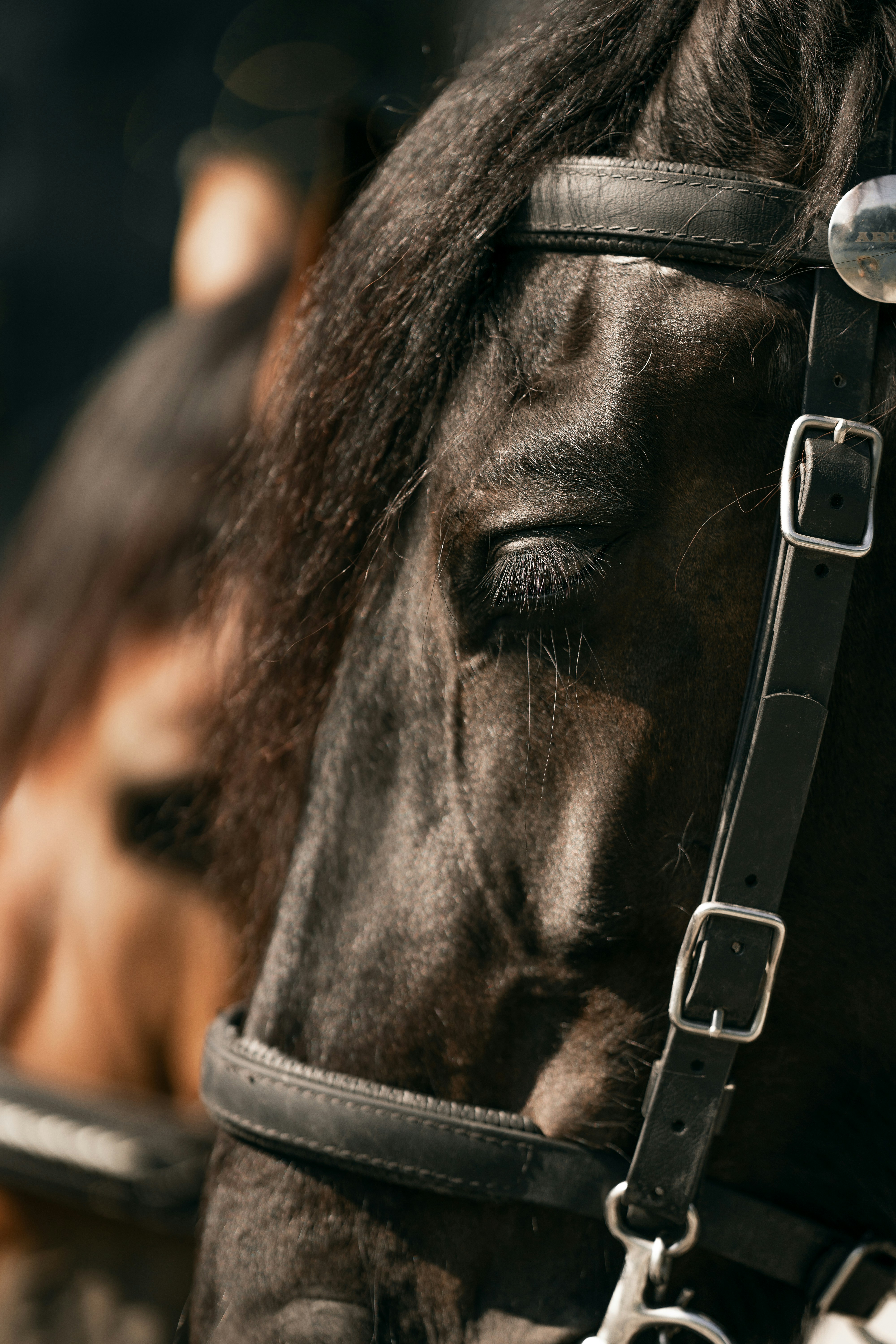 Photo by omarvellous14