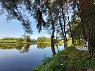 A couple enjoying a peaceful picnic by a calm lake surrounded by autumn trees.