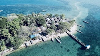 A small, lush island surrounded by turquoise water features numerous trees and several buildings clustered together. Boats are moored around the island, with a small pier extending into the water.