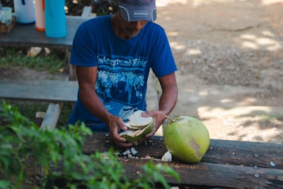 A person is cutting open a green coconut on a wooden bench, surrounded by greenery. The individual is wearing a blue shirt and a cap. A whole coconut and some coconut pieces are visible on the table.