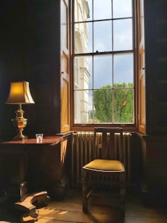 Window view with natural light illuminating the therapy space.