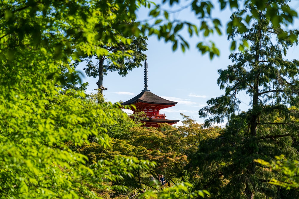 Une pagode au milieu d’une forêt