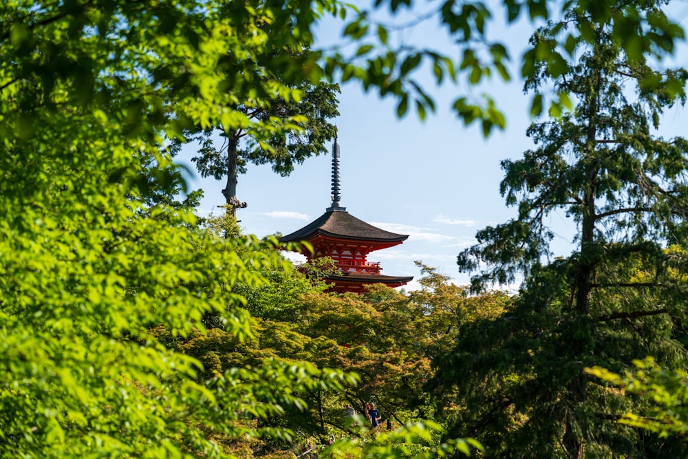 a pagoda in the middle of a forest