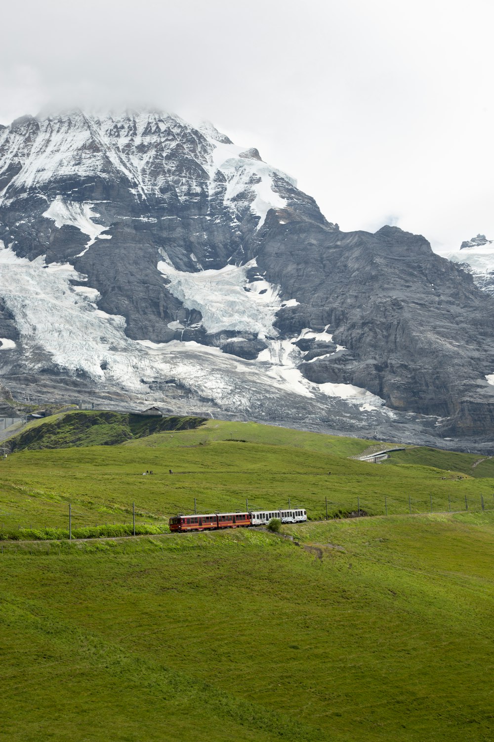 a train traveling through a lush green countryside