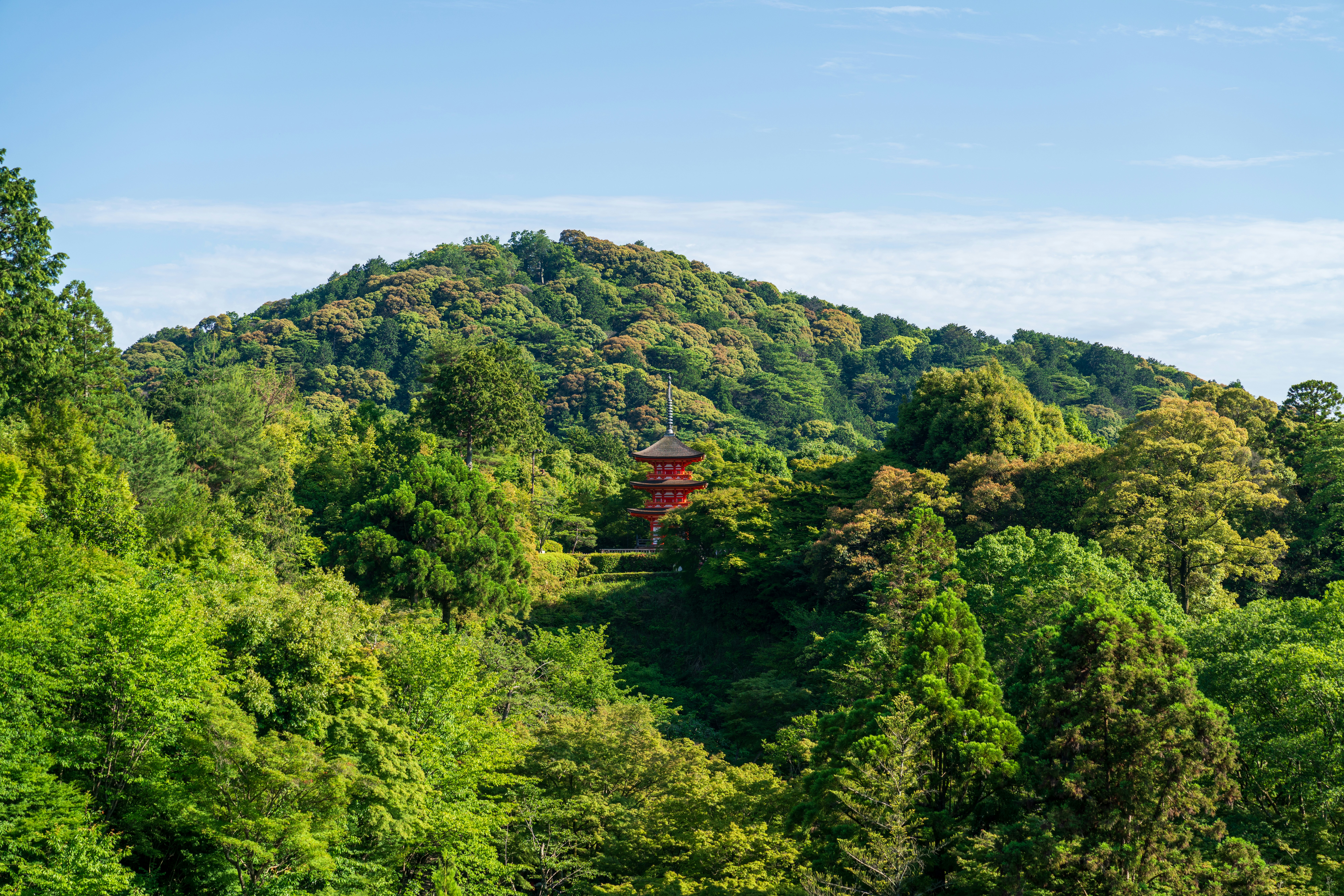 a red pagoda in the middle of a forest