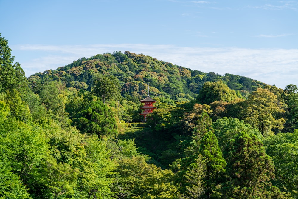 a red pagoda in the middle of a forest