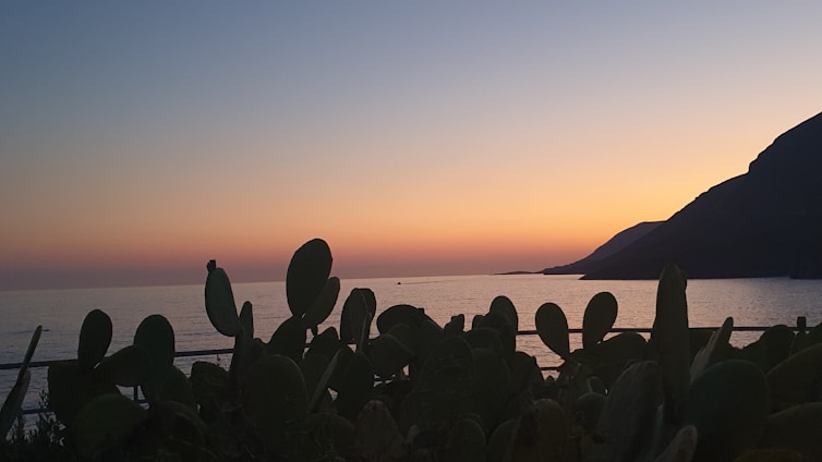 Portrait of Pablo Soto standing with San Carlos beach and mountains in the background during sunset.