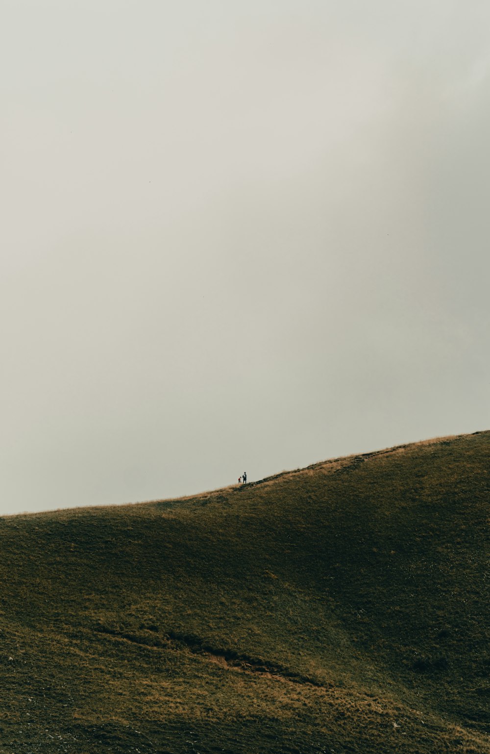 Un par de personas de pie en la cima de una exuberante ladera verde