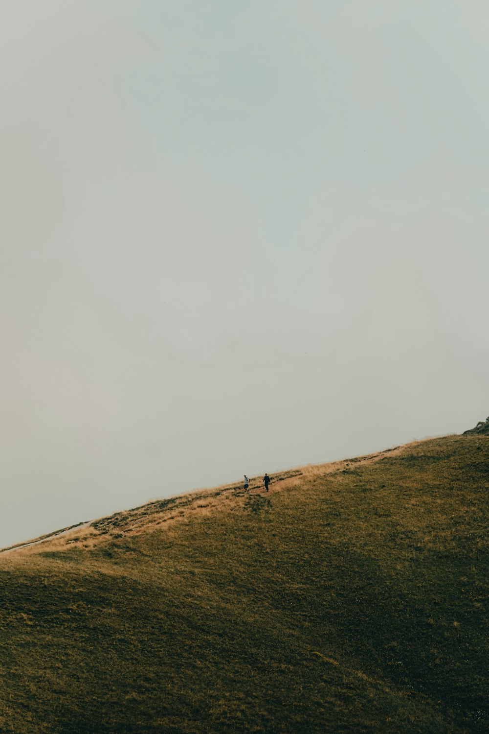 a person walking up a hill on a cloudy day