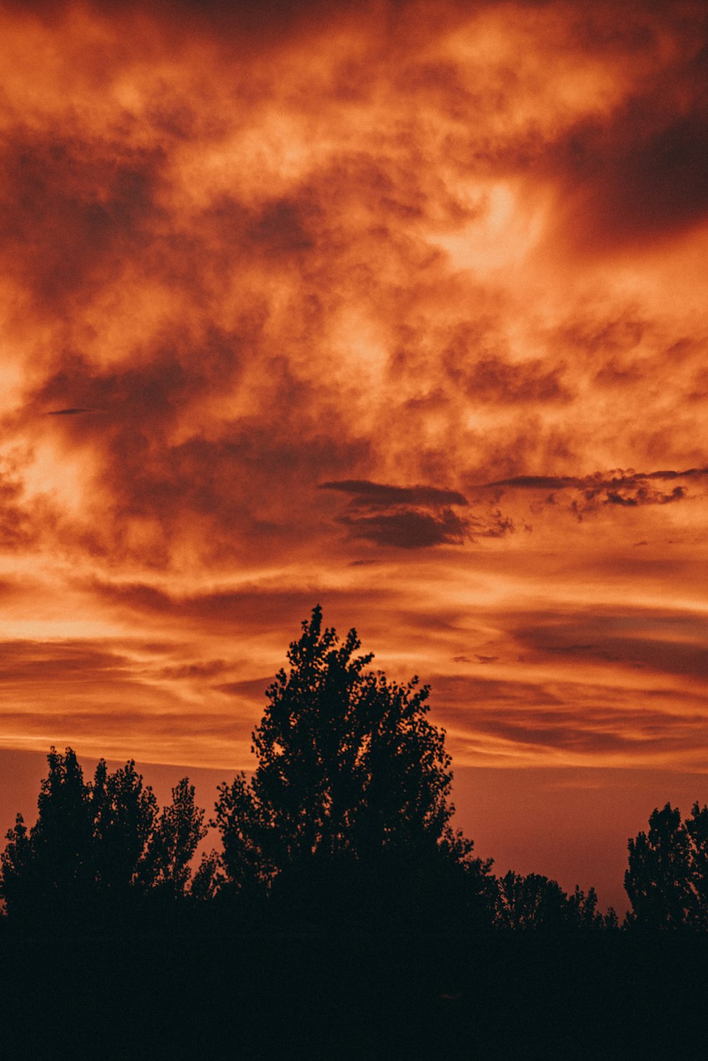 a red sky with clouds and trees in the foreground