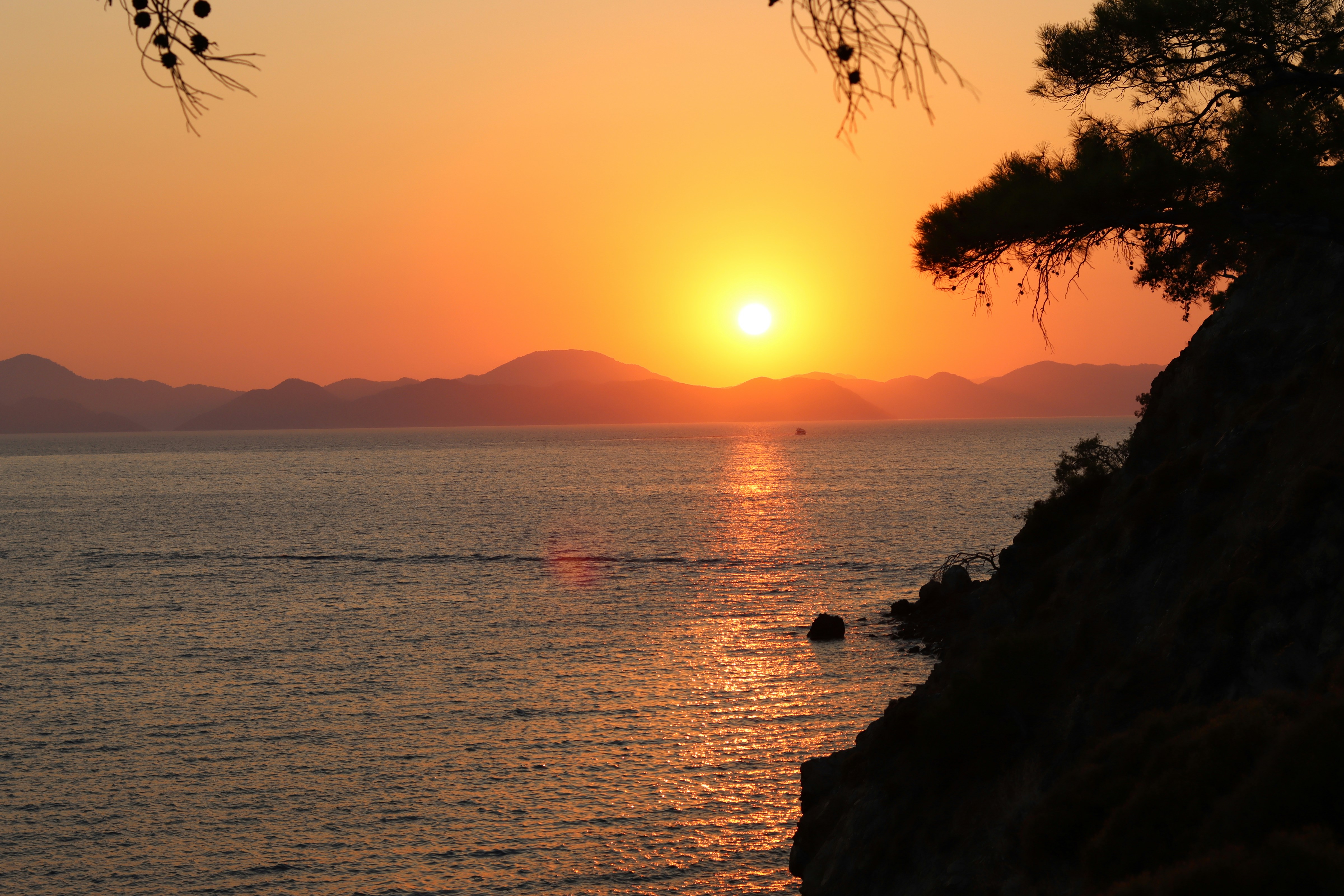 Photo by sararostenne