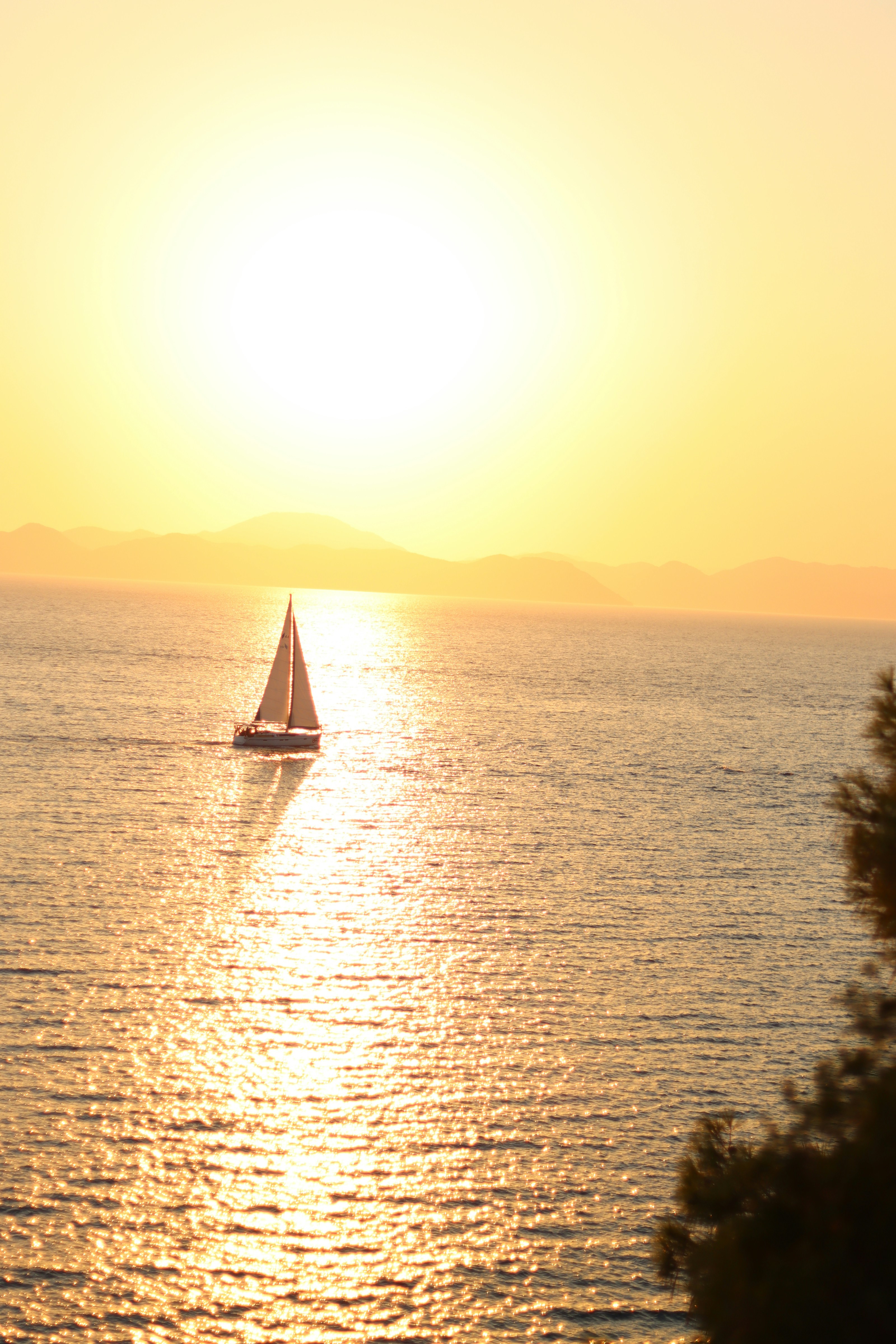 Photo by sararostenne