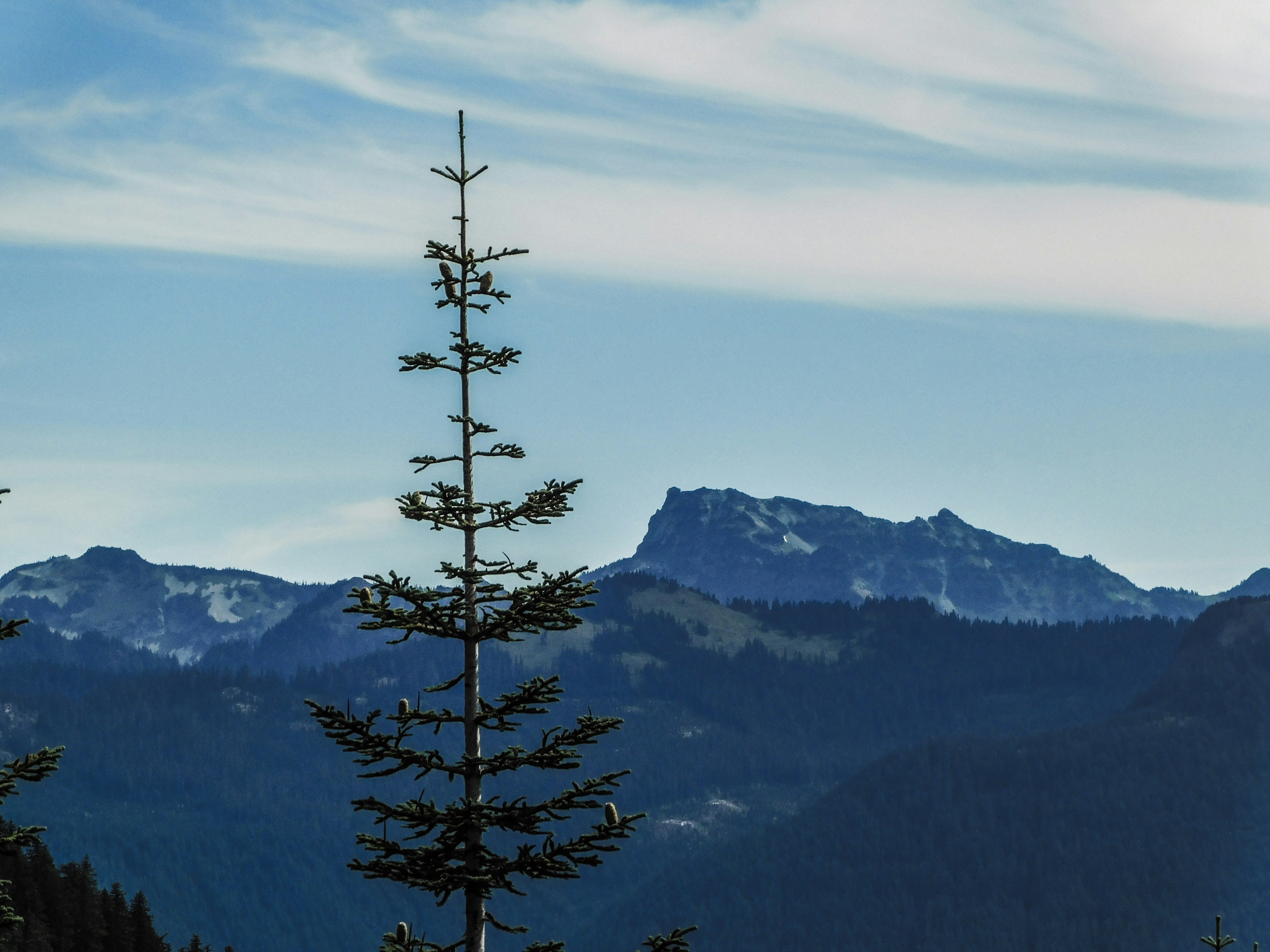 Photo by prphotography262