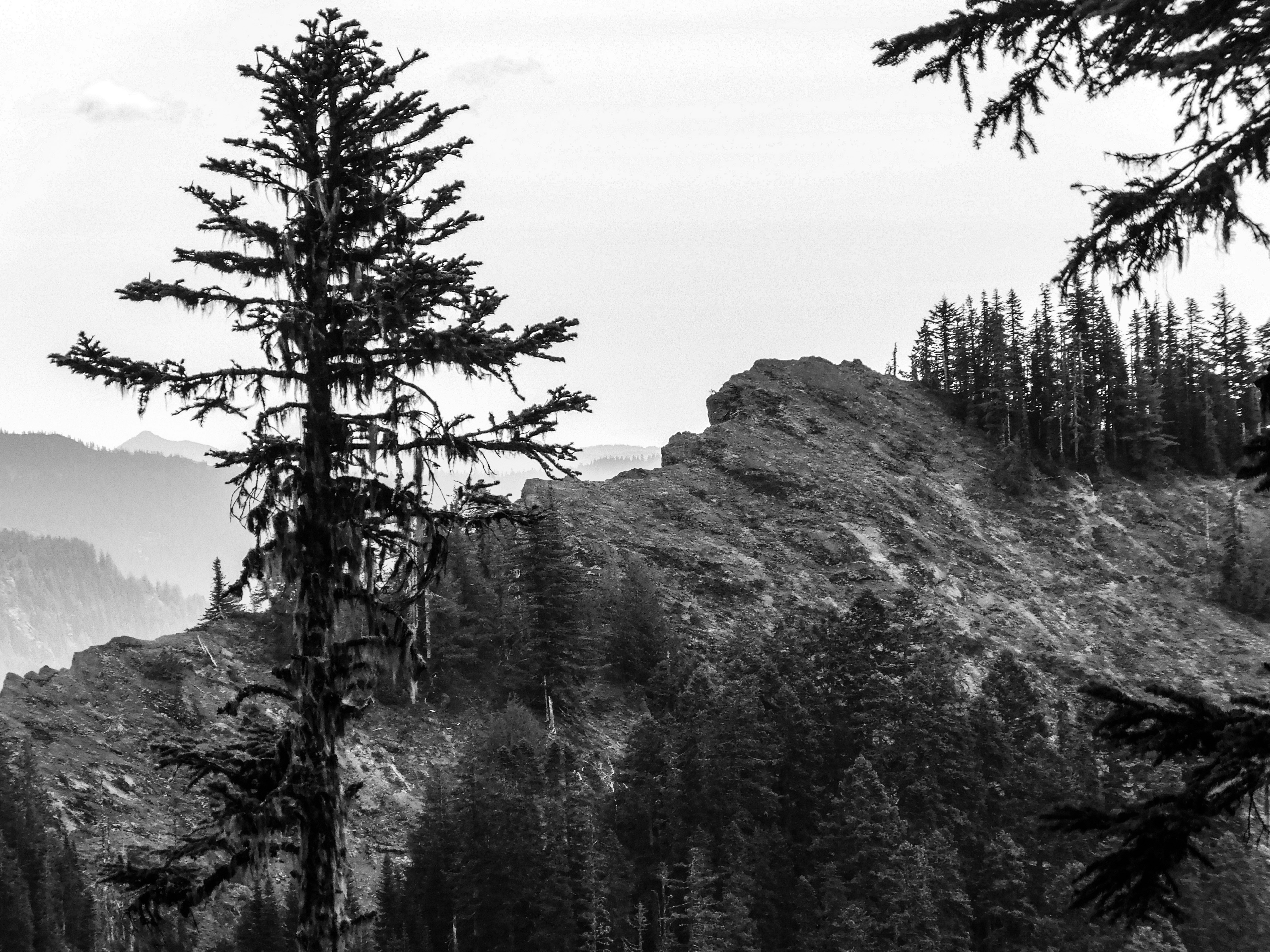 Photo by prphotography262