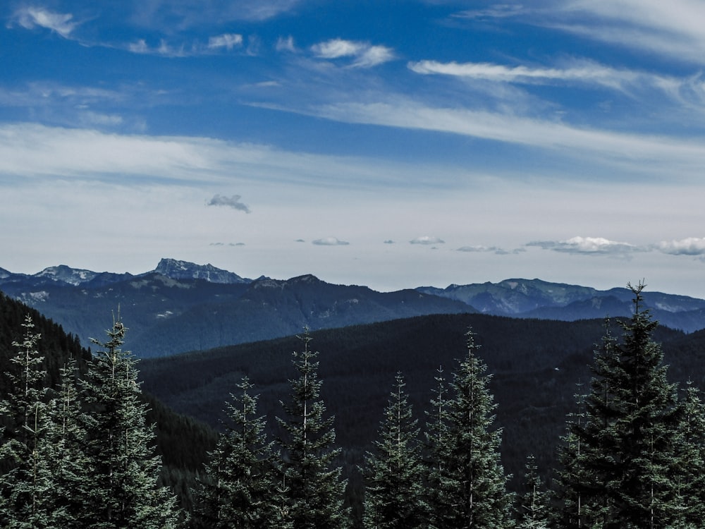 a view of a mountain range with trees in the foreground