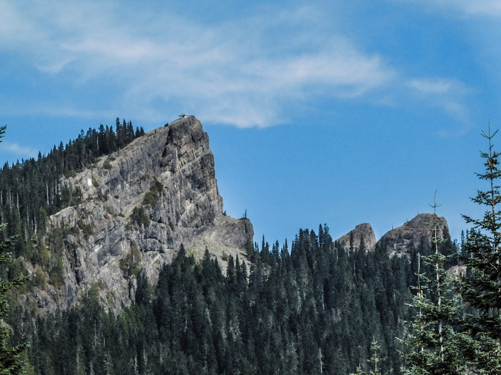 a mountain with trees and a blue sky in the background