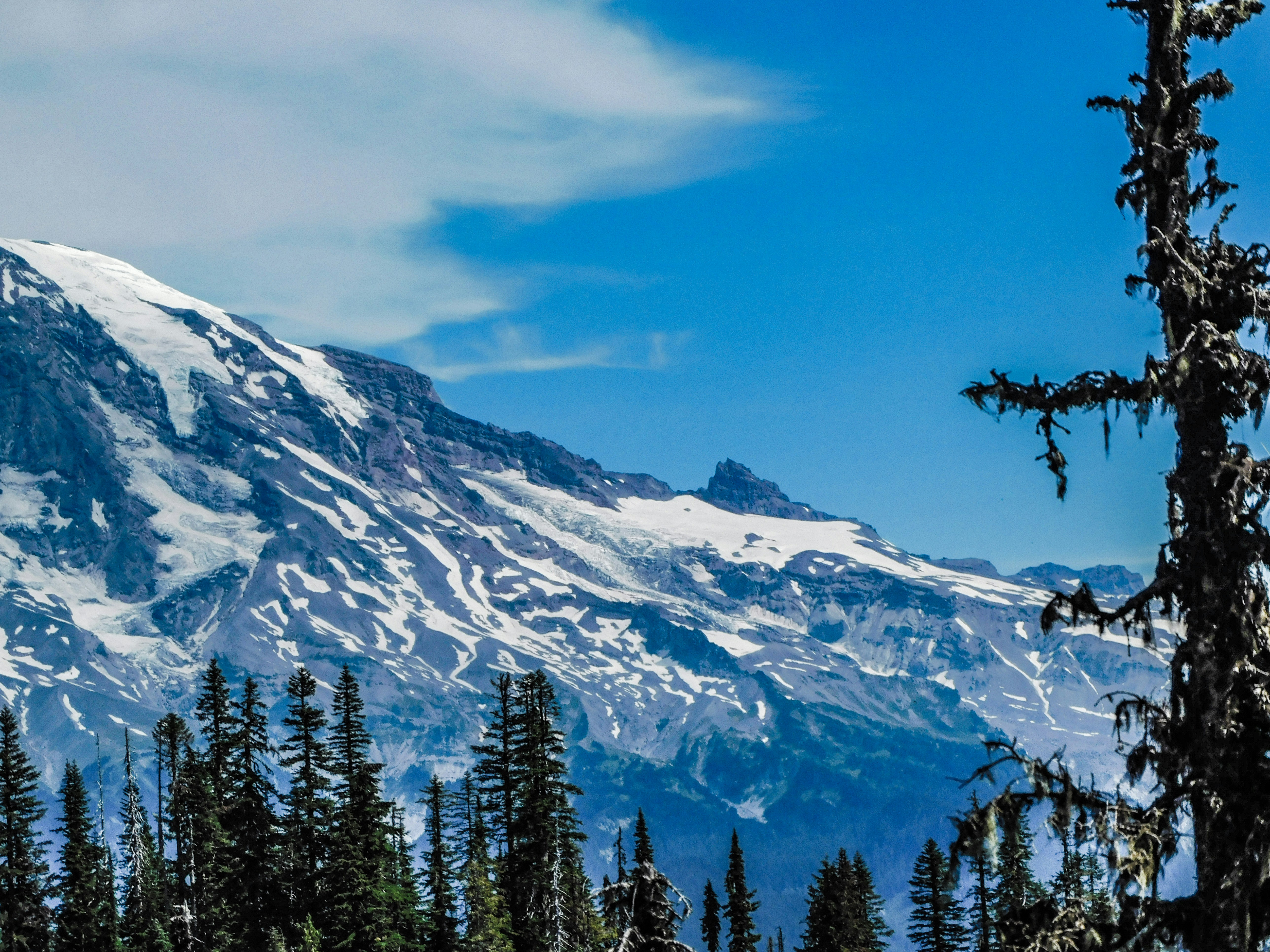 Photo by prphotography262