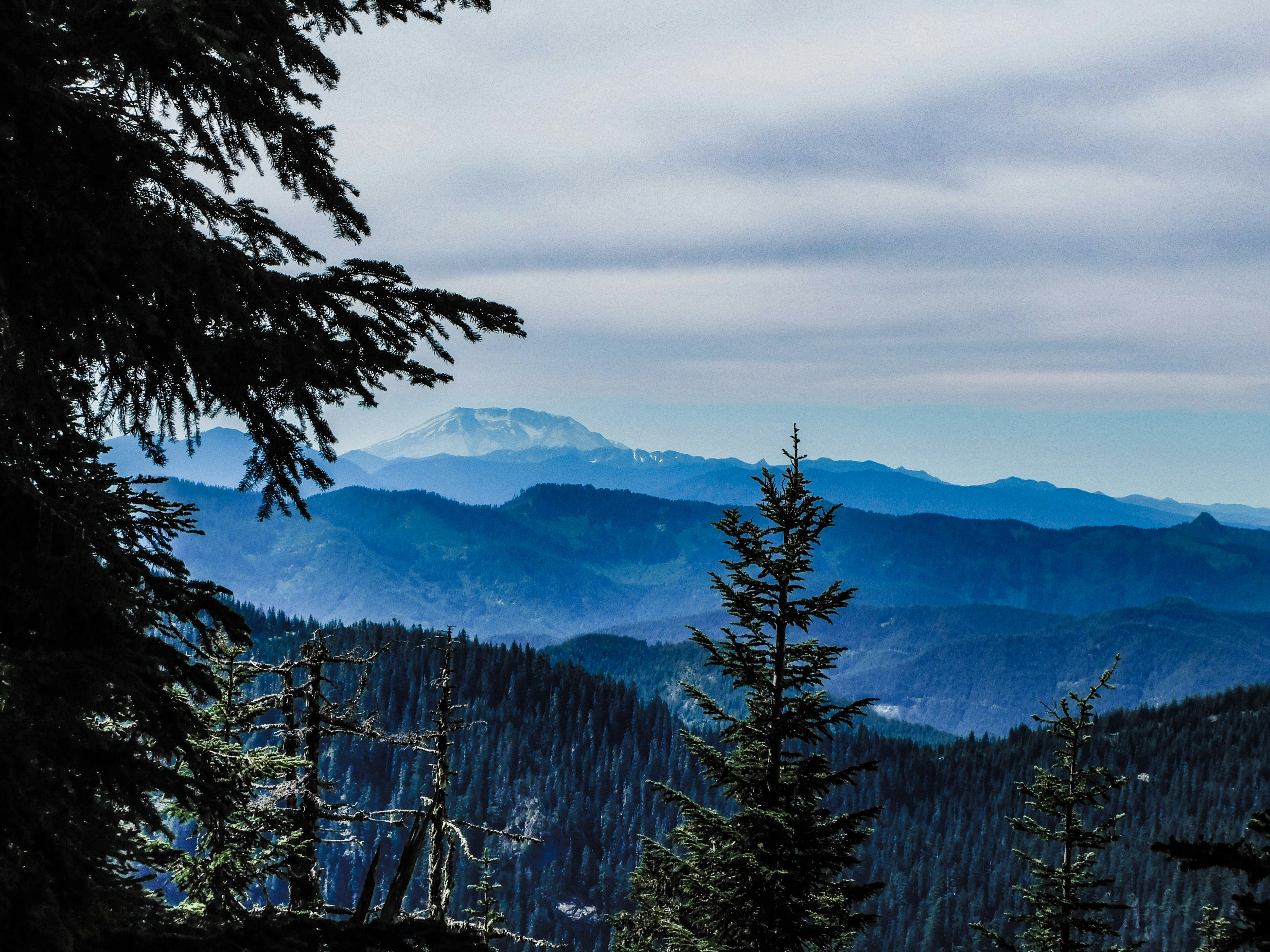 Photo by prphotography262