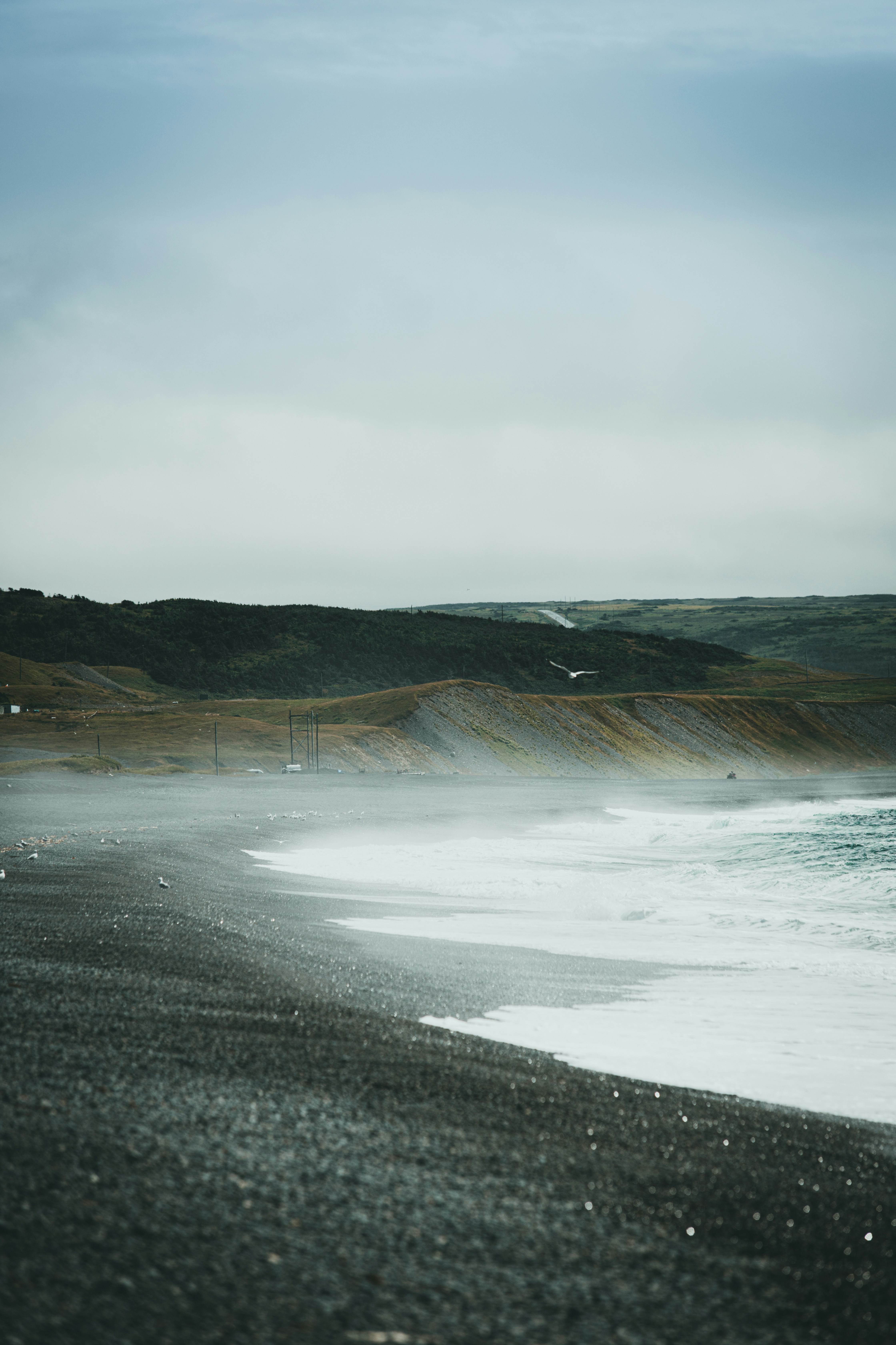 Photo by theshuttervision