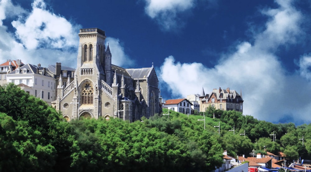 a large cathedral on top of a hill surrounded by trees