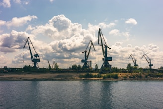 a group of cranes sitting next to a body of water