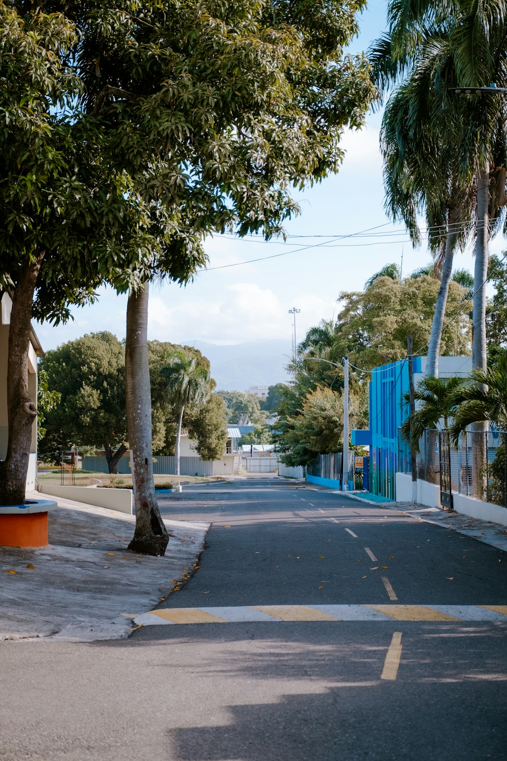 a tree lined street with a blue gate in the distance