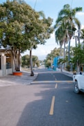 A quiet street inside Palmetto Trailer Estates with greenery and parked trailers.