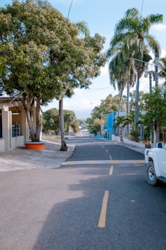 A quiet street inside Palmetto Trailer Estates with greenery and parked trailers.