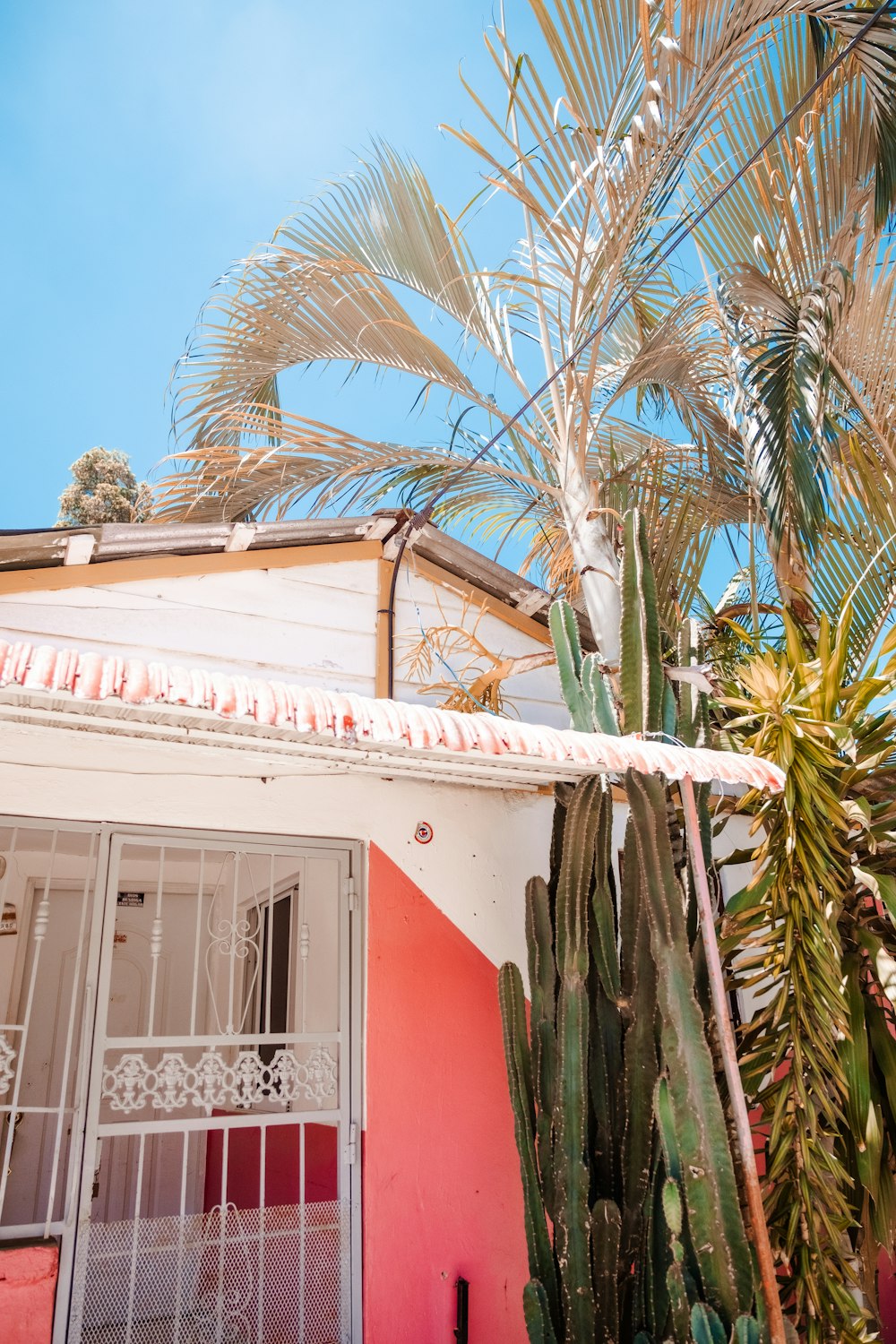 une maison avec un palmier devant elle