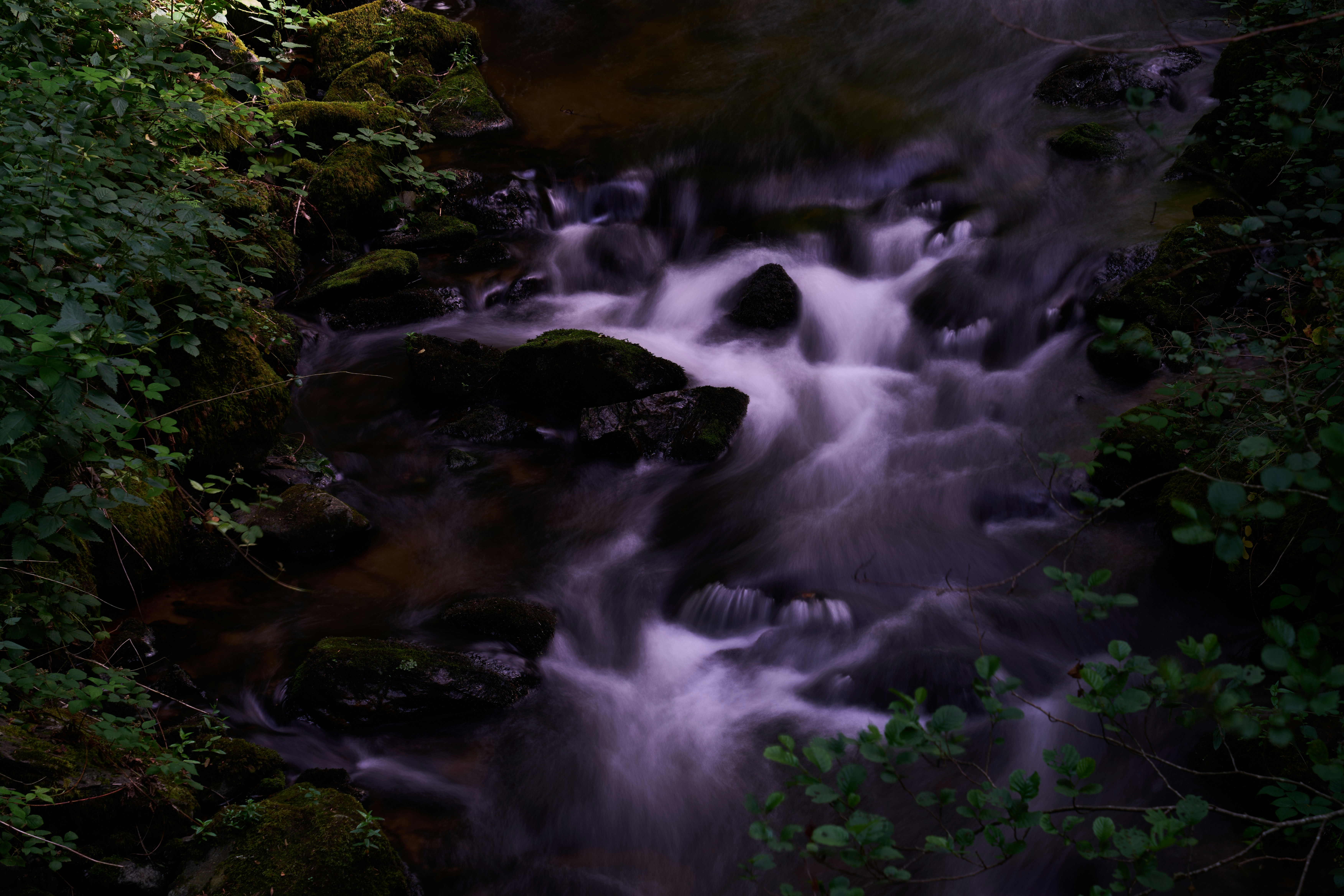 Photo by wolfgang_hasselmann