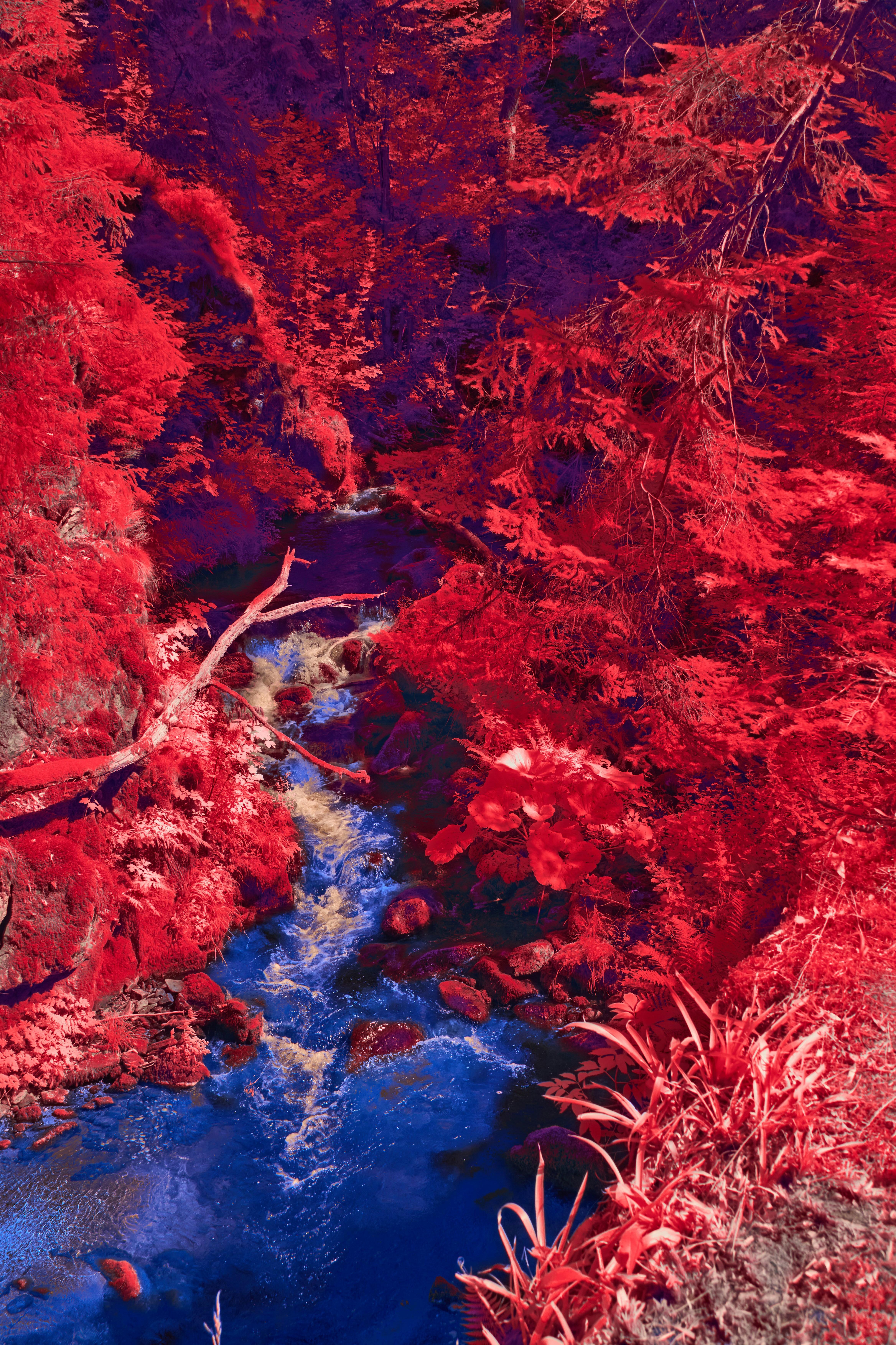 Photo by wolfgang_hasselmann