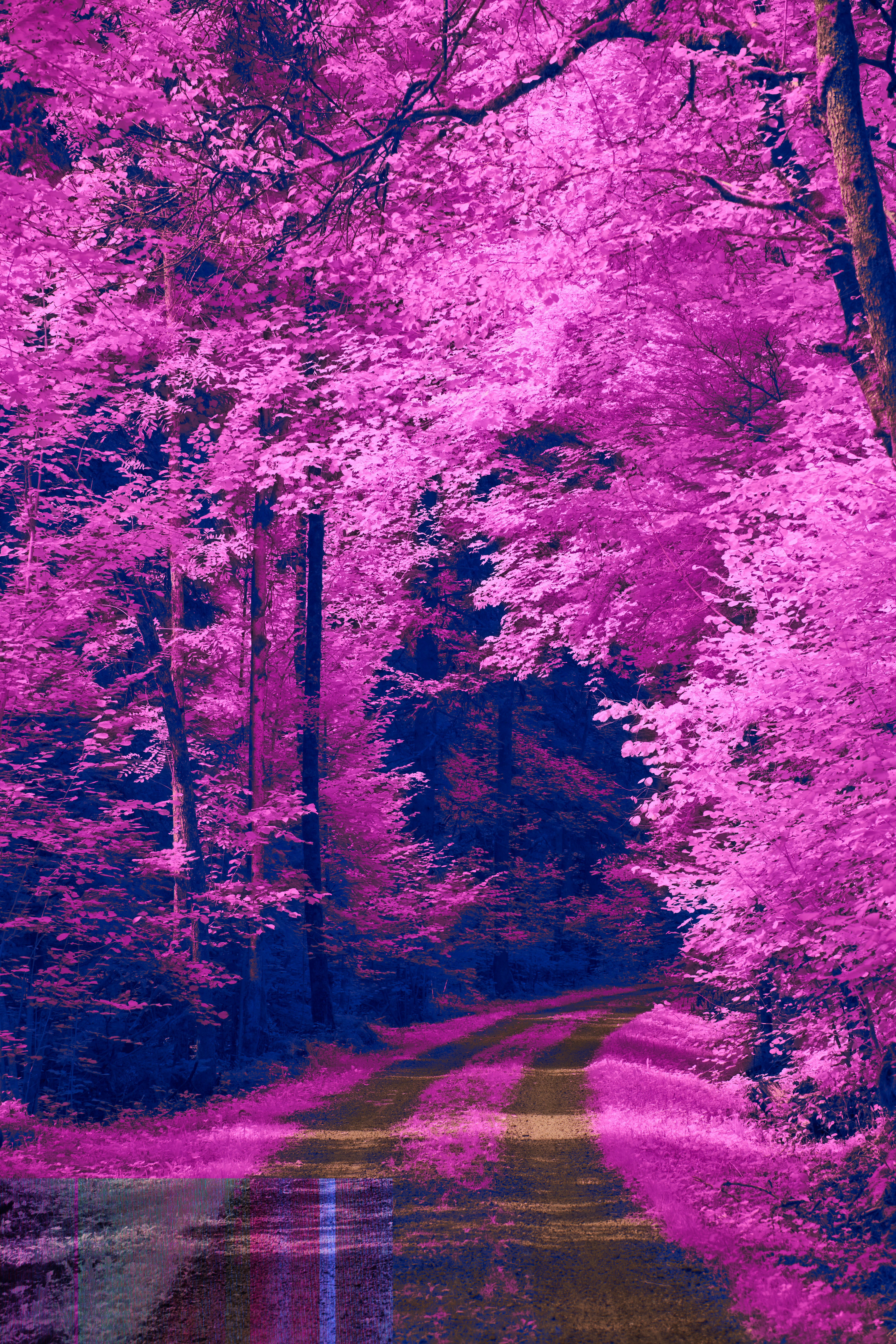 Photo by wolfgang_hasselmann