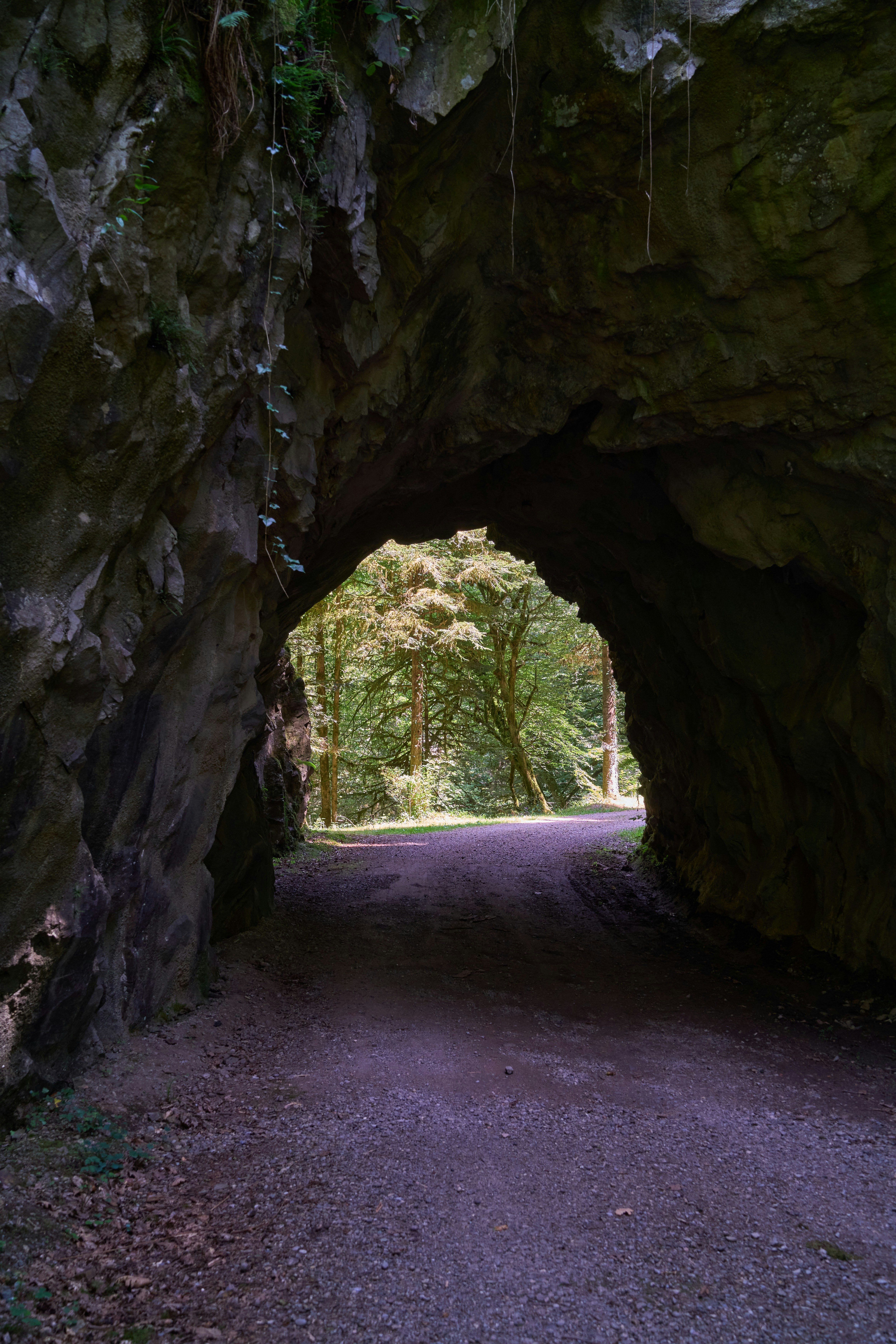 Photo by wolfgang_hasselmann